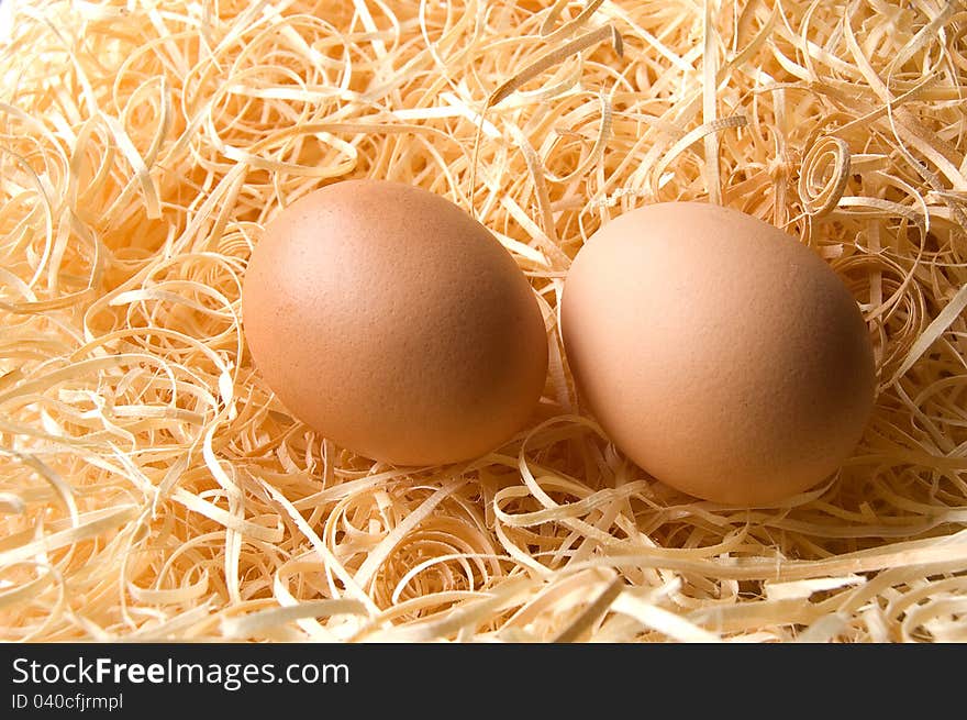 Two newly hatched barn eggs on natural bedding. Natural light produces soft shadows. Sharp focus on shell speckles. Copy space.