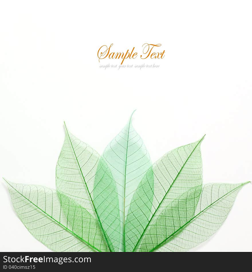 Skeleton leafs seamless abstract background