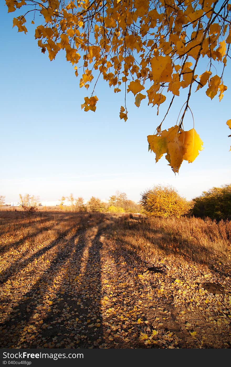 Autumn nature. Long shadows and blue sky