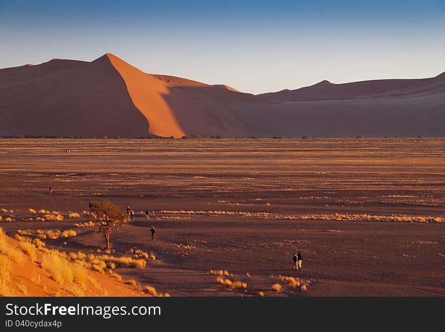 High dune in Namib Desert, Namibia