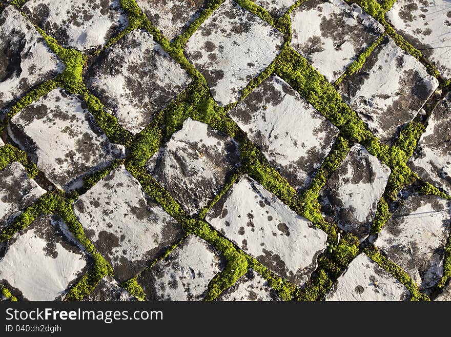 Traditional portuguese pavement covered with moss. Traditional portuguese pavement covered with moss