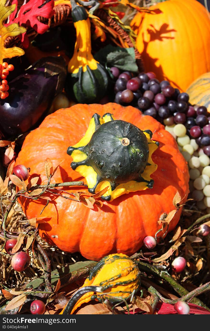 A colorful autum display consisting of gourds, grapes, hay bales, and leaves. A colorful autum display consisting of gourds, grapes, hay bales, and leaves.