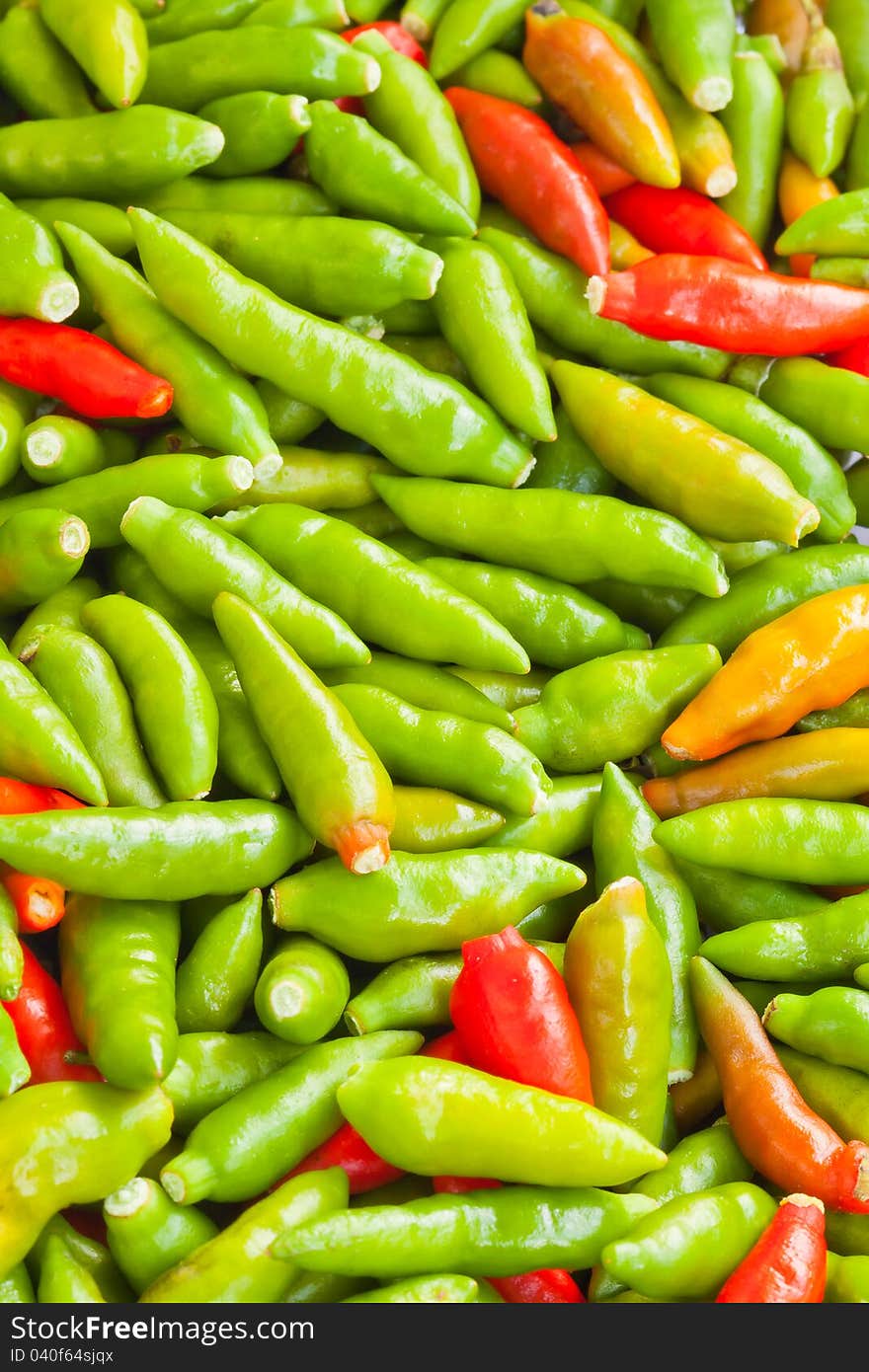 Image of closeup red & Green chillies. Image of closeup red & Green chillies