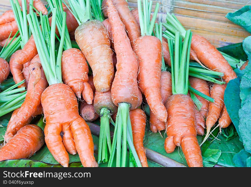 Freshly Carrots on the market