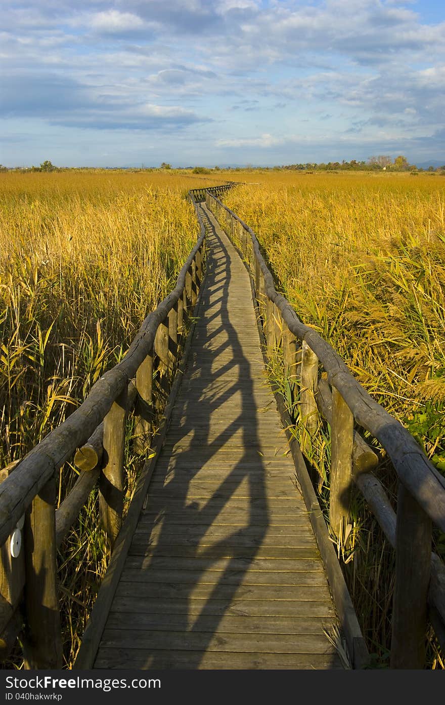 Small Footbridge