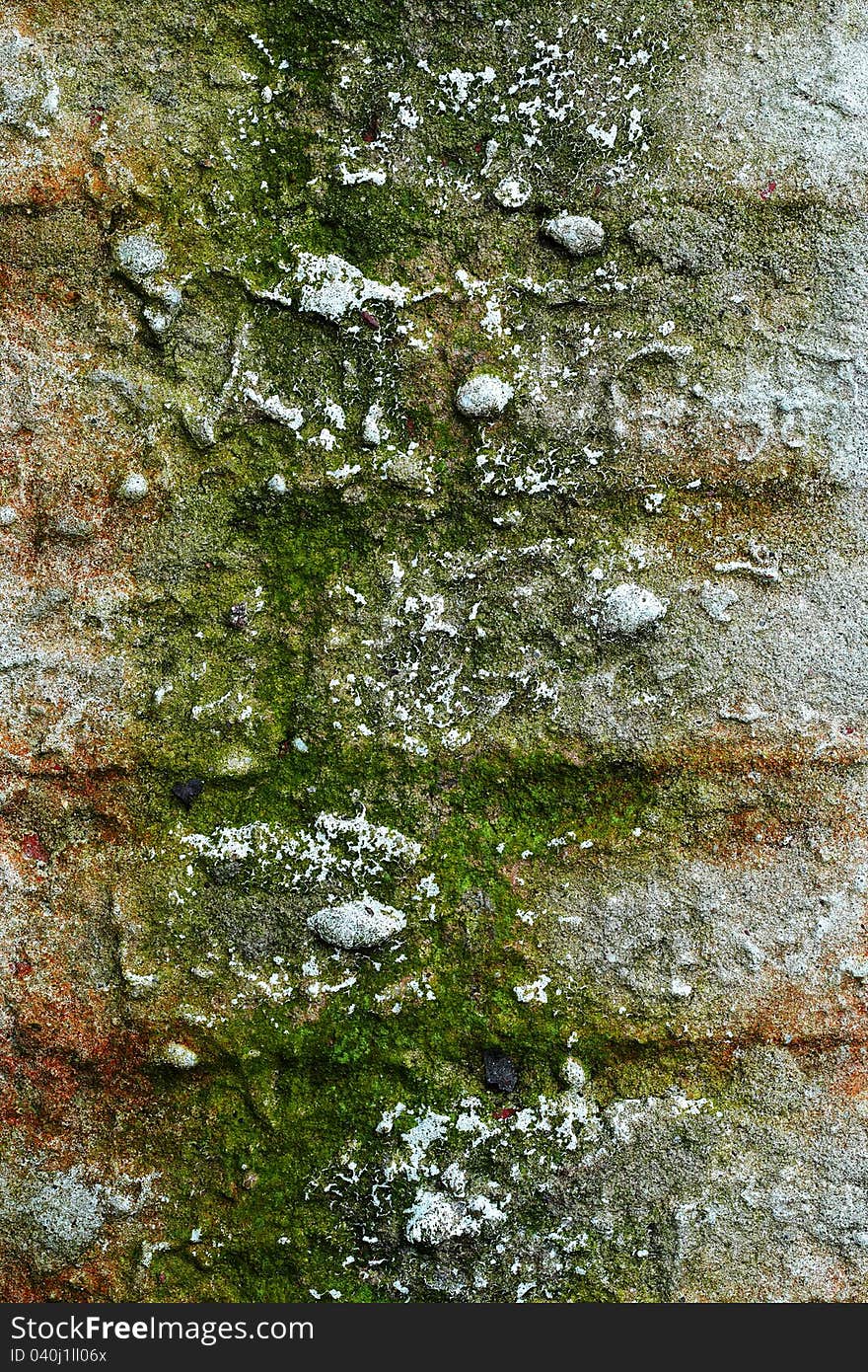 Old grunge brick wall with plaster and moss