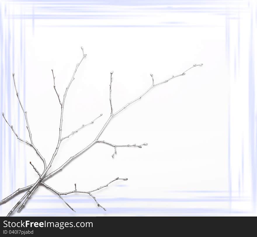 Background with the branch.