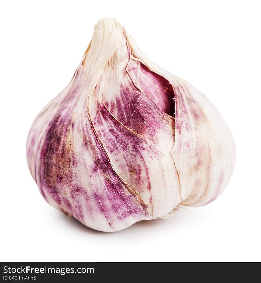 Single garlic bulb on a white background.