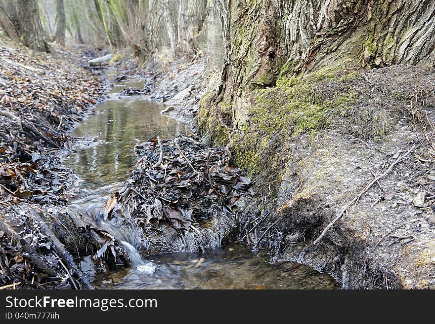 Melioration stream flowing between old trees