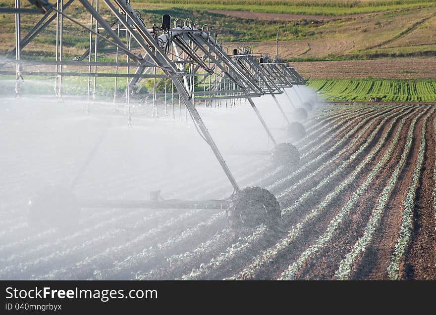 Irrigation Wheel Line