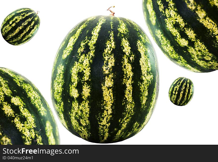 Nice round watermelon isolated on white. Clipping path included