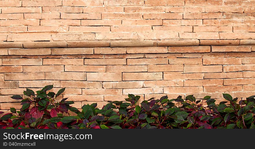 Block with tree leaf frame. Block with tree leaf frame