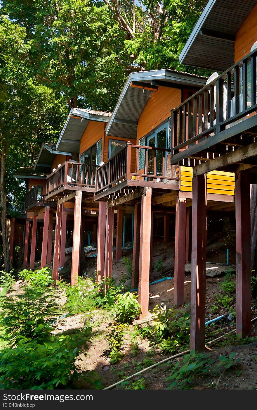 House in a tropical forest on stilts in Thailand