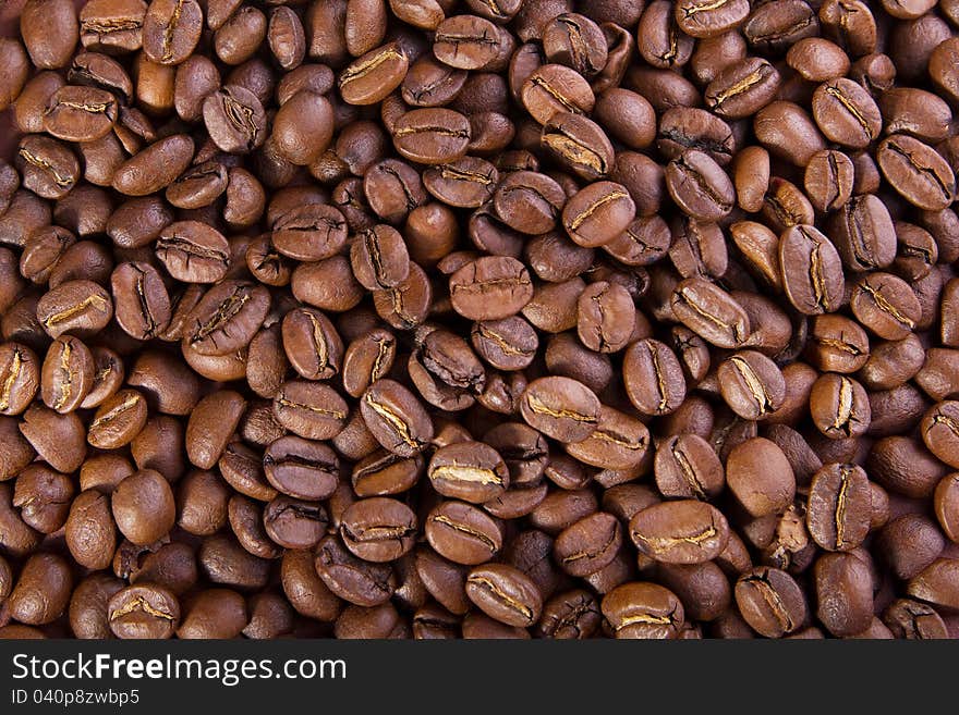 Brown background of the many coffee beans. Brown background of the many coffee beans