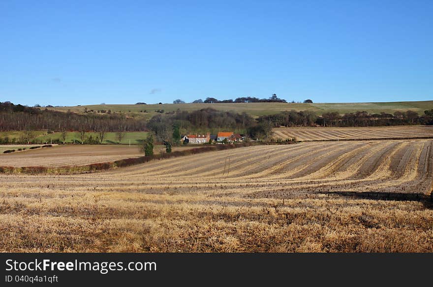 An English Rural Landscape with Farm