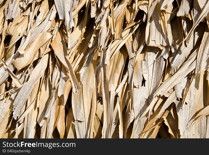 The roof of the nipa palm.