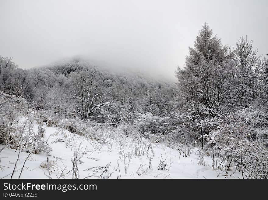 Winter landscape with snow in mountains, Slovakia