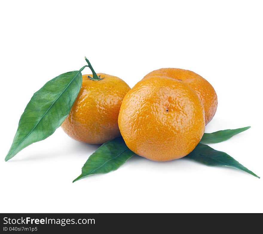 Tangerines with leaves on white background