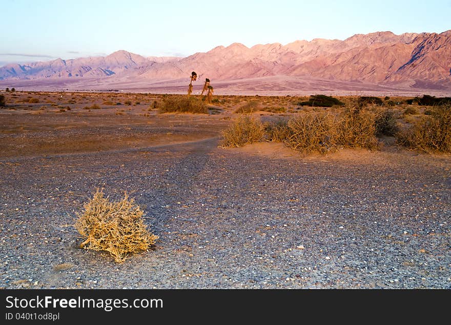 Valley Of Evrona Nature Reserve, Eilat, Israel