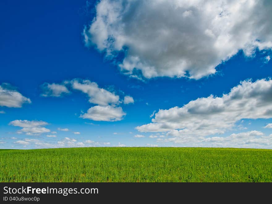 Field And Sky