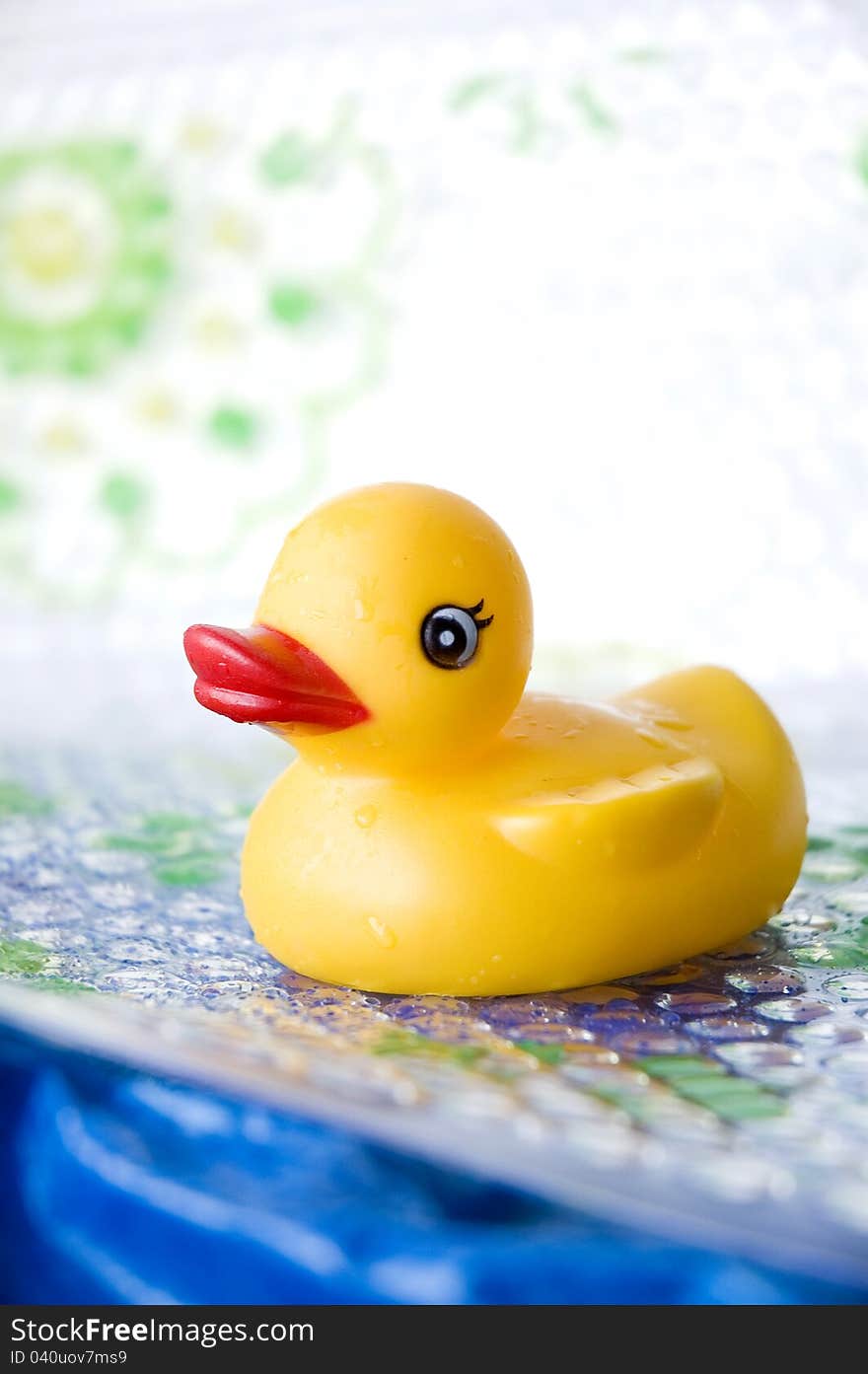 Close Up Yellow Duck