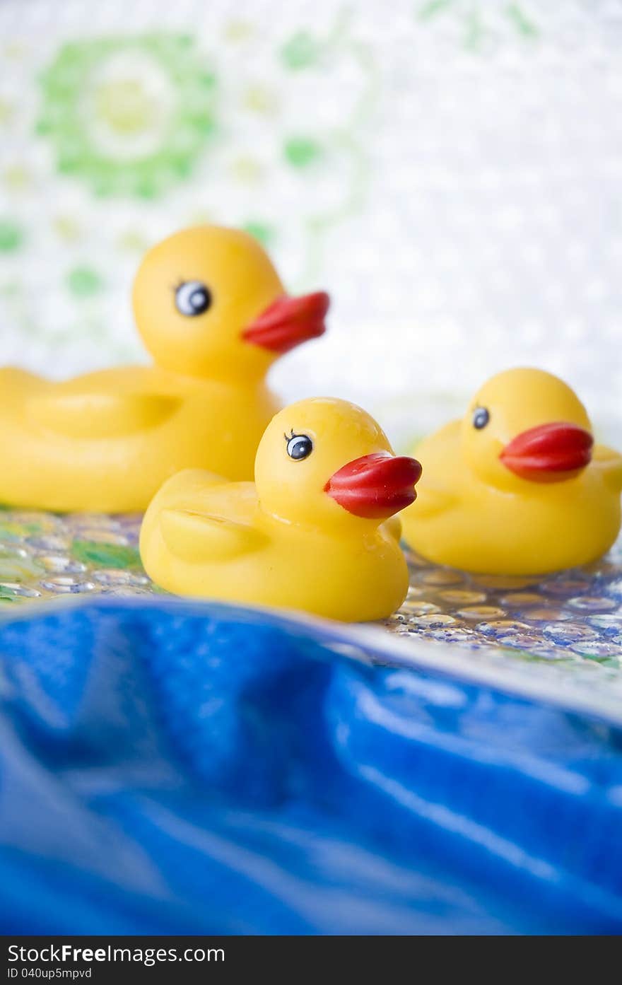 Ducks family toy floating on blue