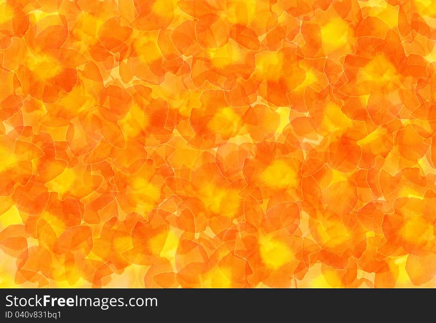 The beautiful  abstract  background with flowers. The beautiful  abstract  background with flowers