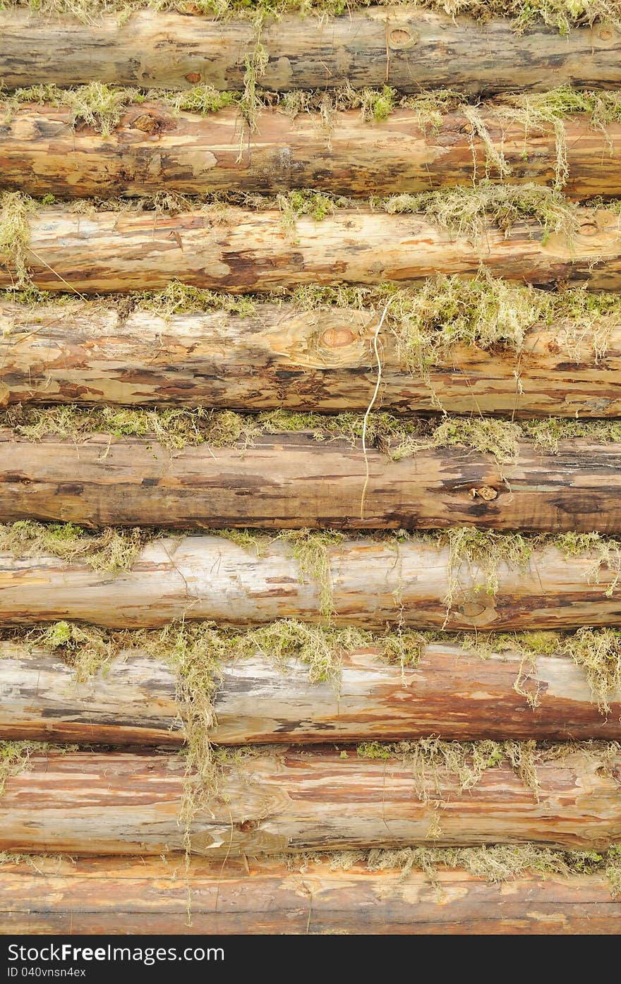 A wall of wood logs chinked with moss as a background