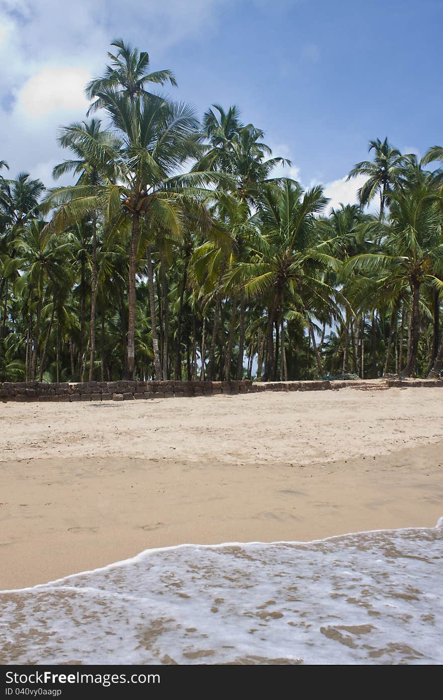 Tropical beach paradise - Palolem, Goa, India