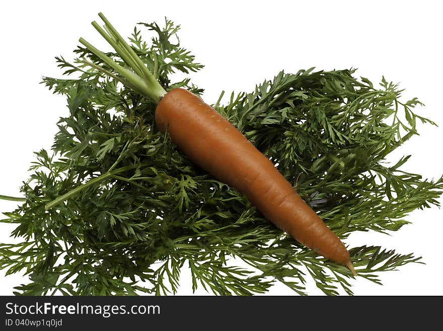 An organci carrot laying on a bed of greens. An organci carrot laying on a bed of greens