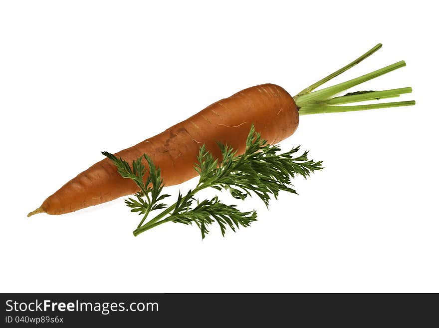 A single organic carrot with green leaf next to it. A single organic carrot with green leaf next to it