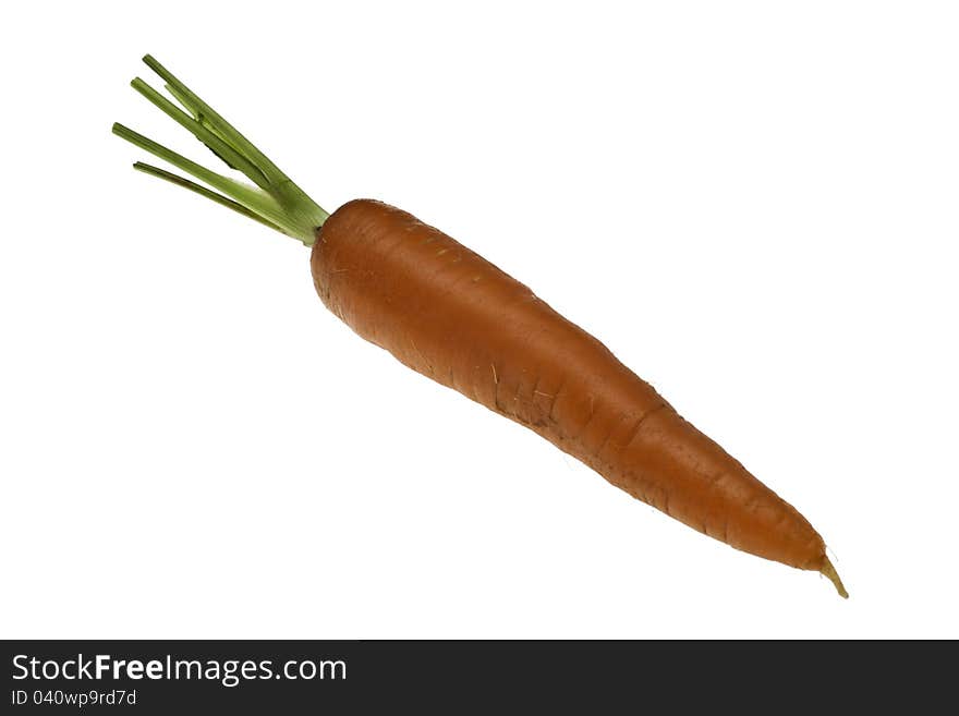 A single fresh organic carrot on white background. A single fresh organic carrot on white background