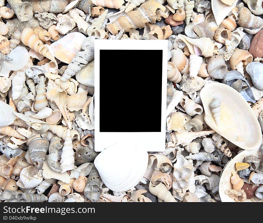 Blank photo frame on sea shell background