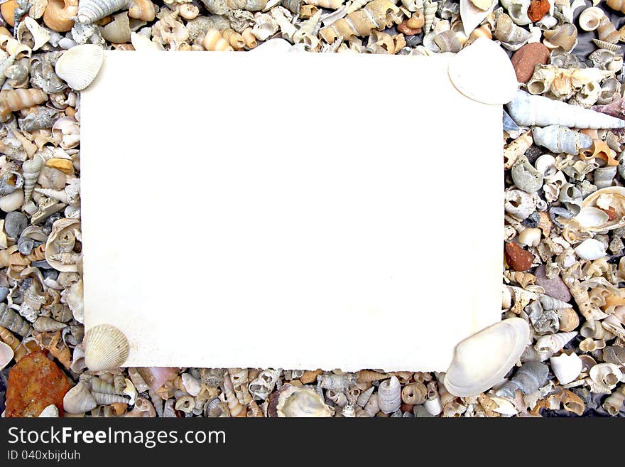 Blank paper on sea shell background