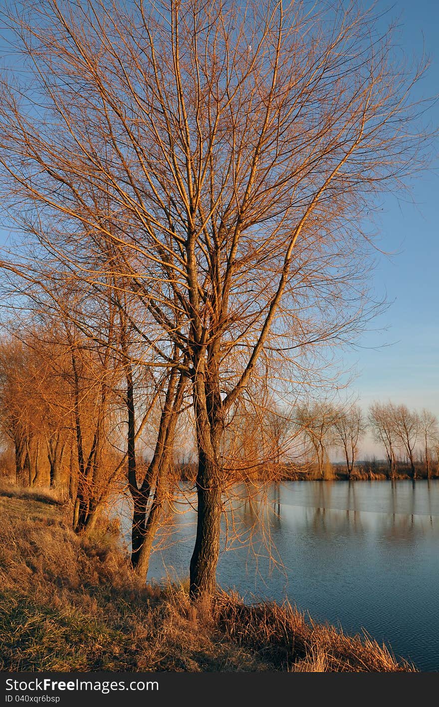 Park at autumn morning and lake dam. Park at autumn morning and lake dam