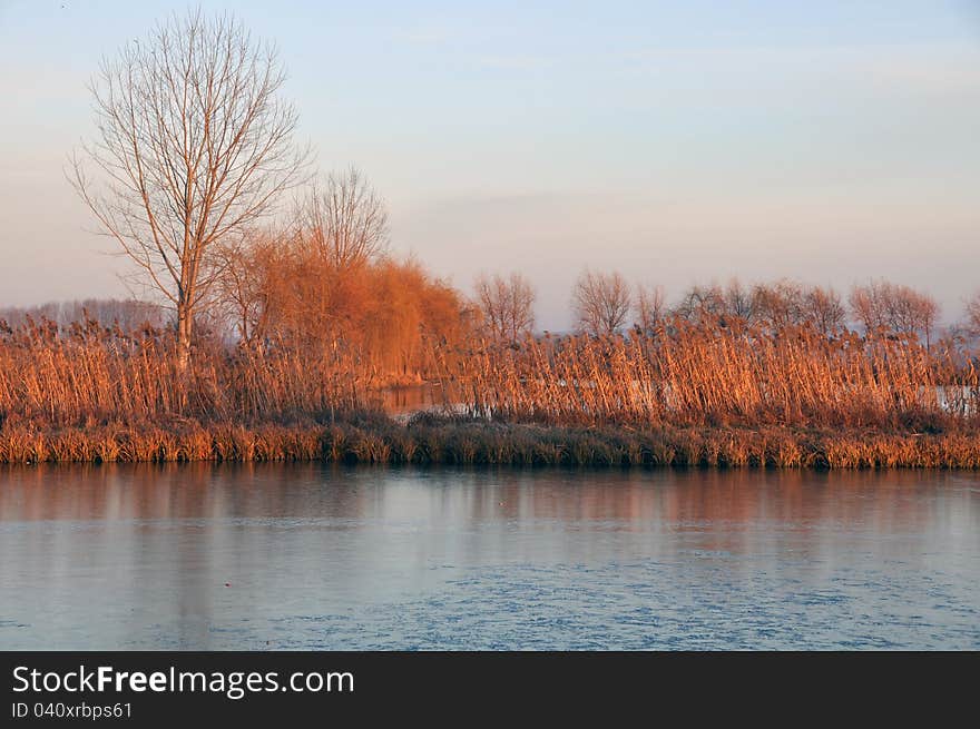 Park at autumn sunset and lake. Park at autumn sunset and lake