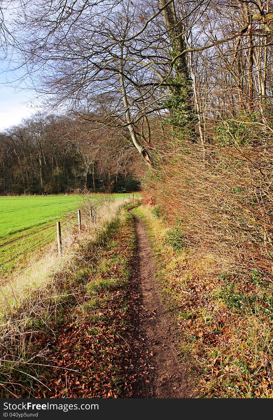 Footpath running between a field and woodland bathed in Winter sunshine. Footpath running between a field and woodland bathed in Winter sunshine