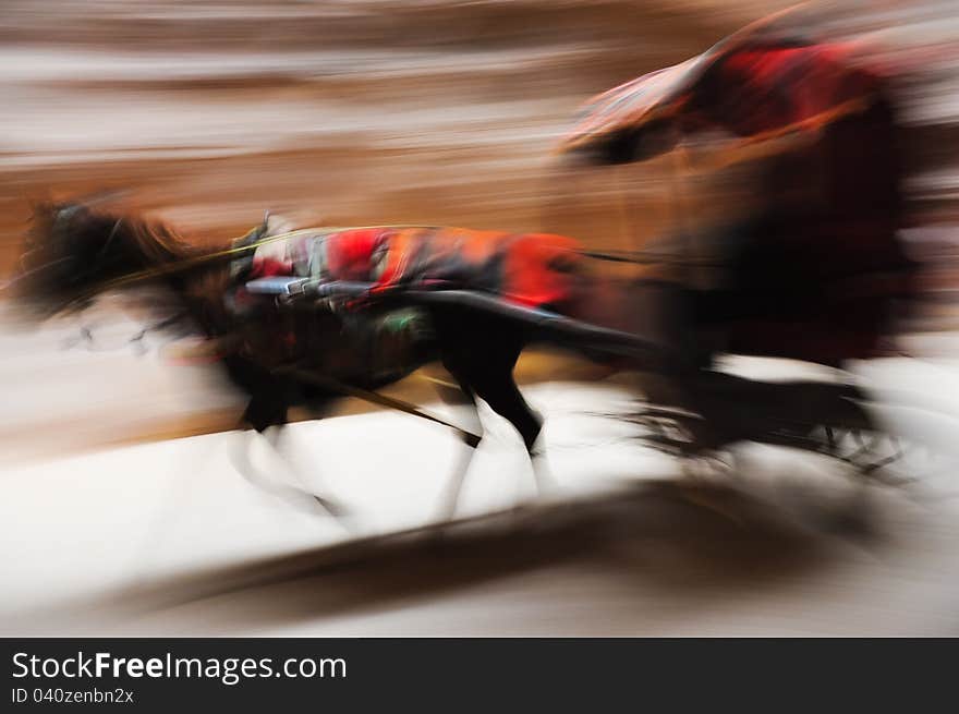 Running donkey carriage blurred panning. Running donkey carriage blurred panning