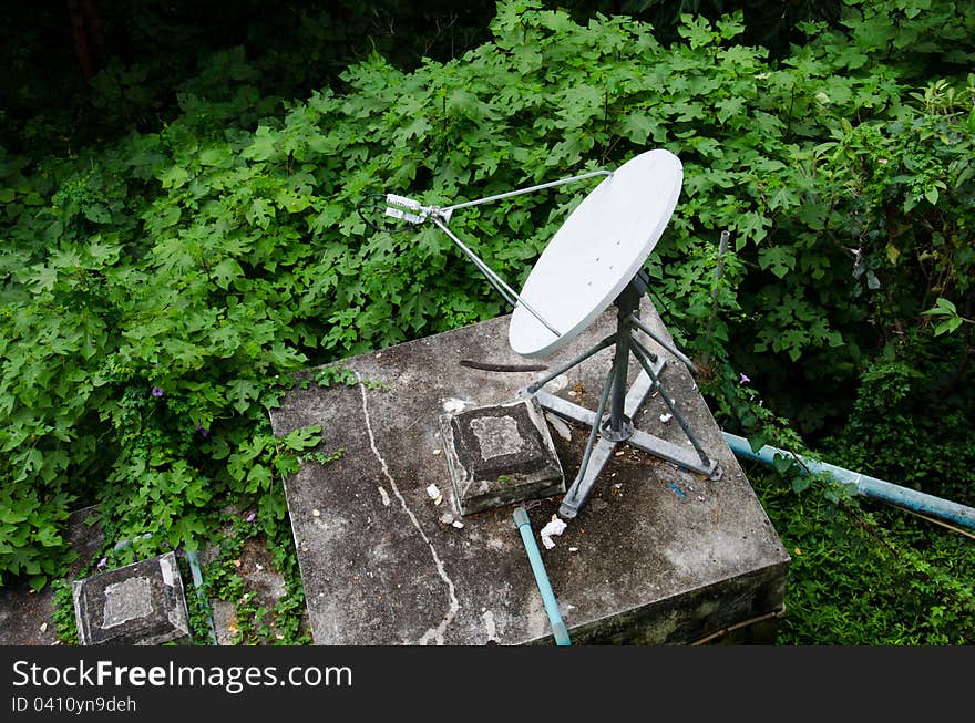 Satellite dishes in the wild.