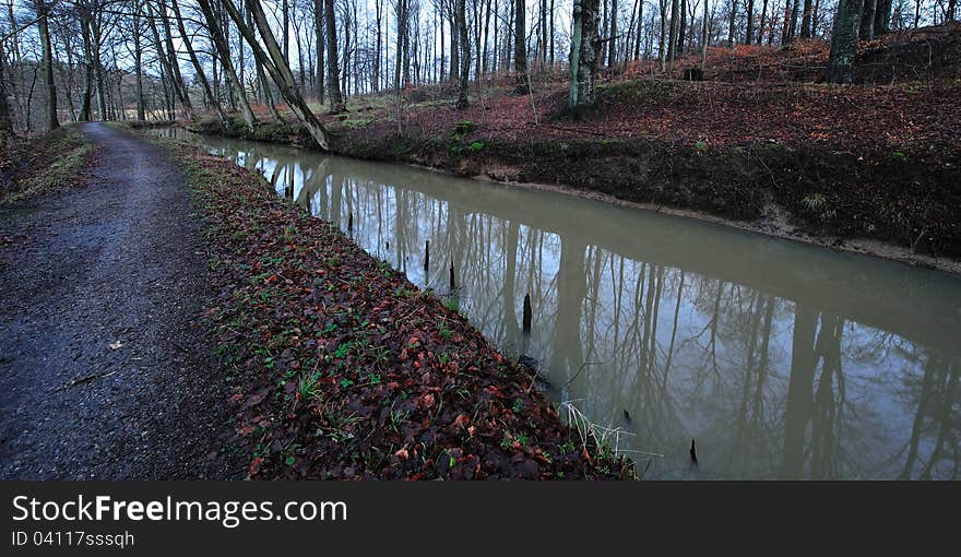 Colorful automn forest in Denmark. Colorful automn forest in Denmark