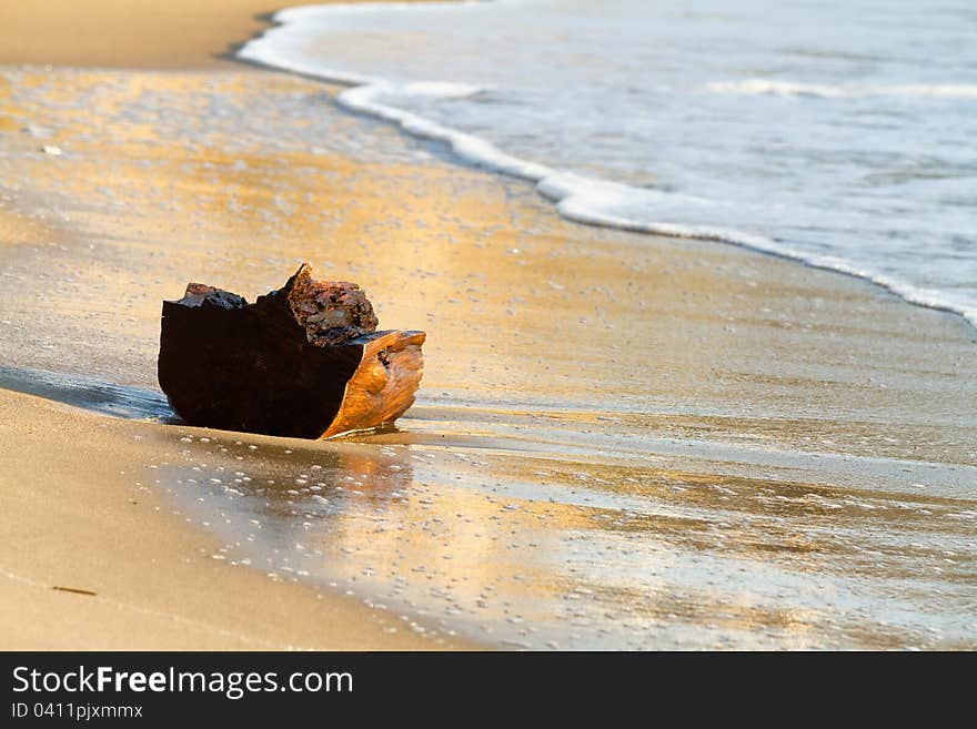 Piece of wood in the waves