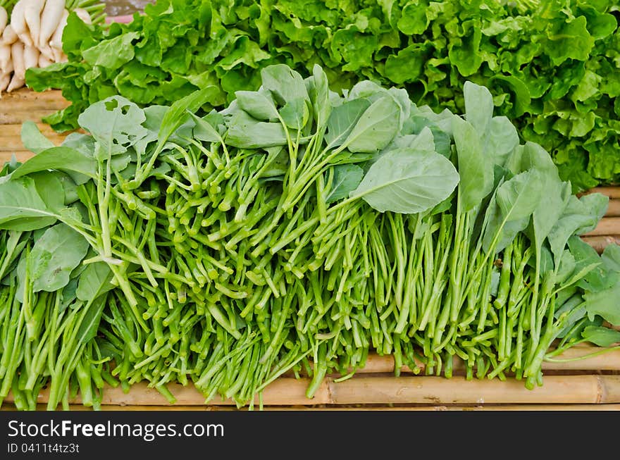 Fresh Chinese Kale