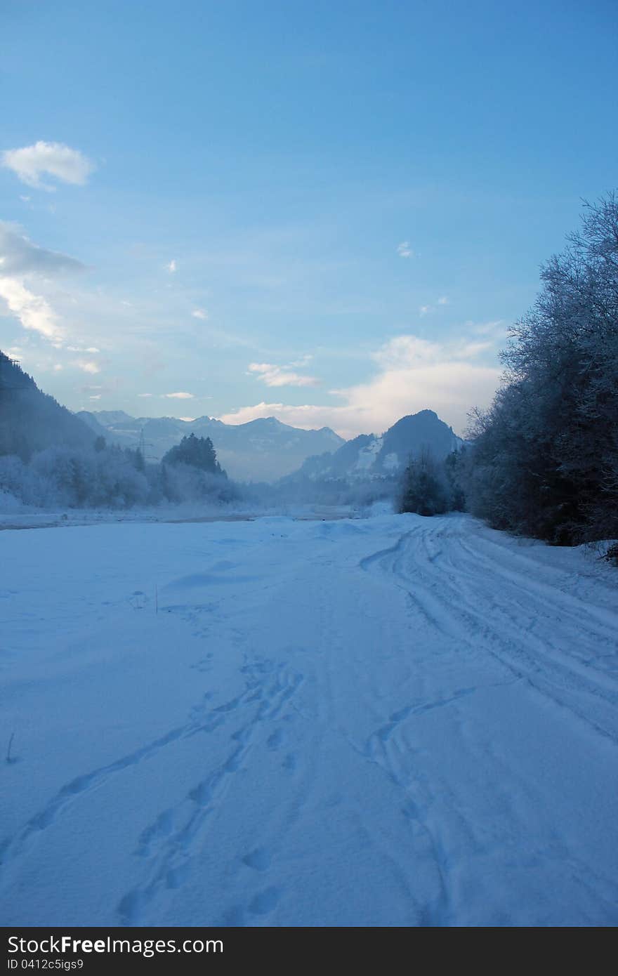 Winter landscape