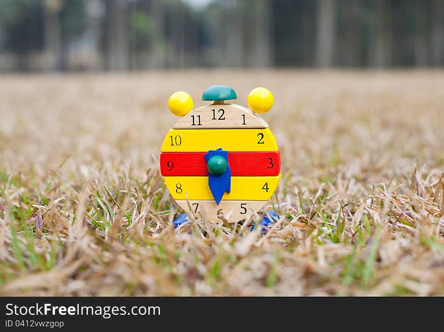 Wood Clock On Grass