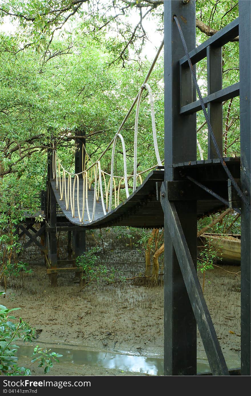 Wooden bridge in mangrove conservation center in Thailand
