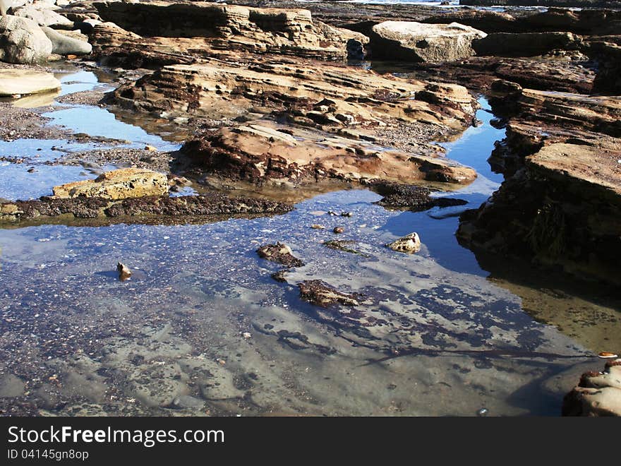 Marine geology and tide pools, San Pedro, CA. Marine geology and tide pools, San Pedro, CA