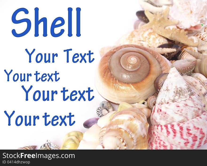 Shell