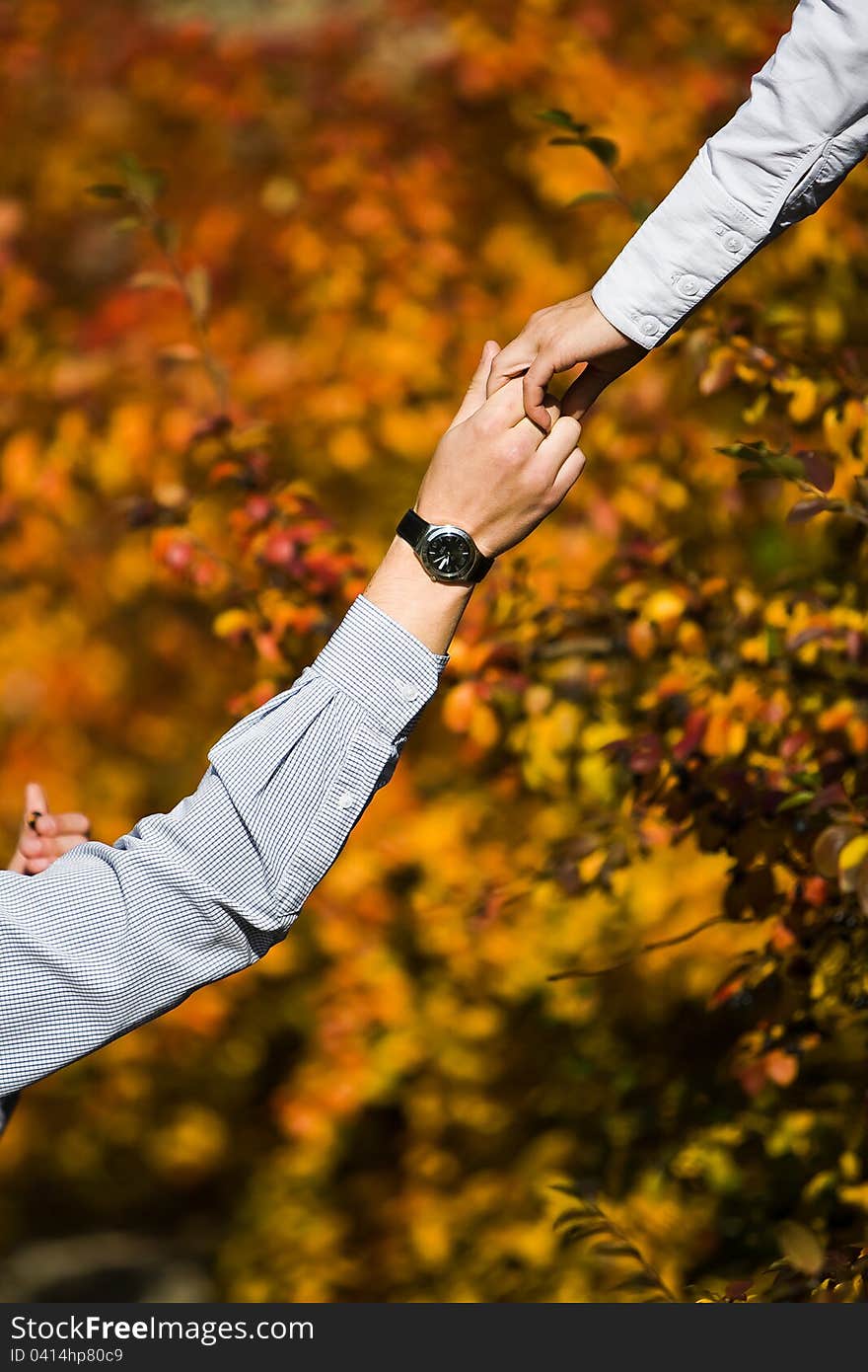 Young loving couple holding hands on the background of the forest. Young loving couple holding hands on the background of the forest