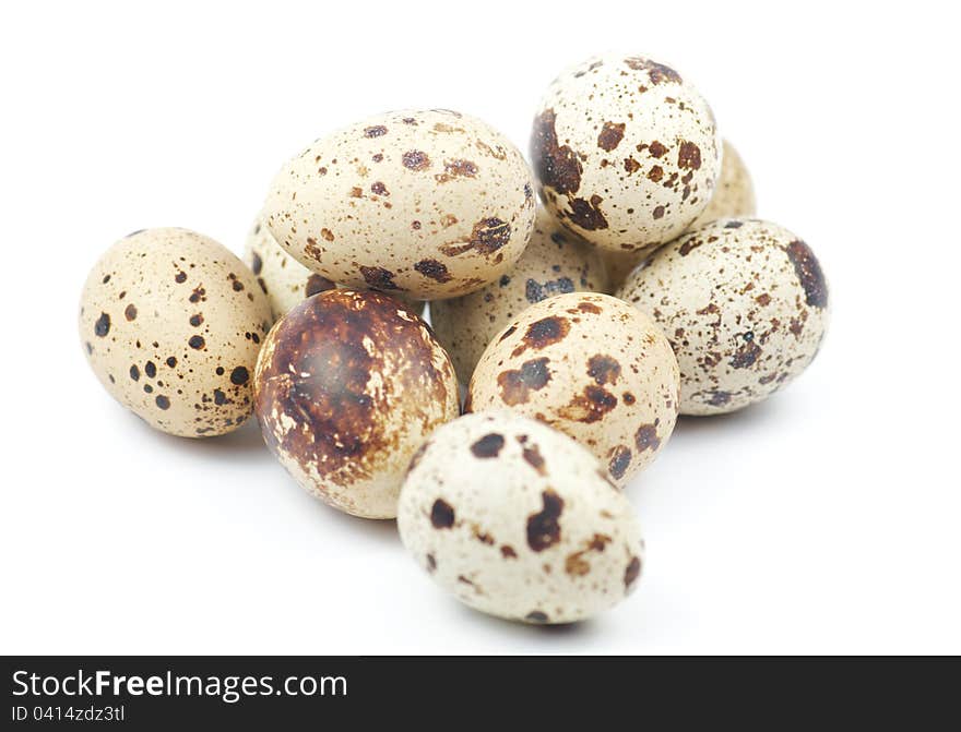 Quail eggs on white background