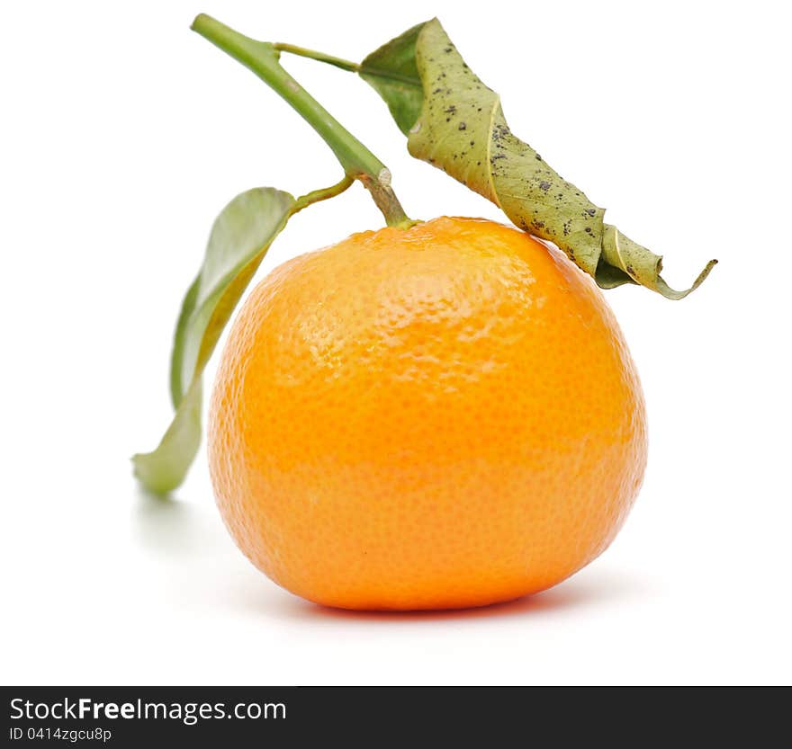 Mandarin Orange